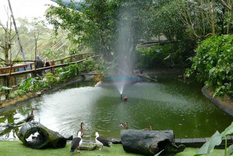 Birdworld Kuranda - Image 7 of 8