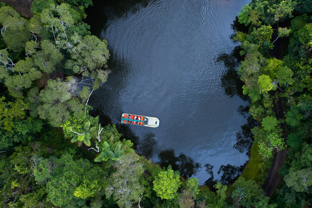 Rainforestation Nature Park Ticket in Cairns - Image 1 of 8