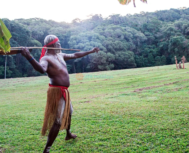 Rainforestation Nature Park | Kuranda Rainforest & Wildlife - JTR Holidays - Image 5 of 5