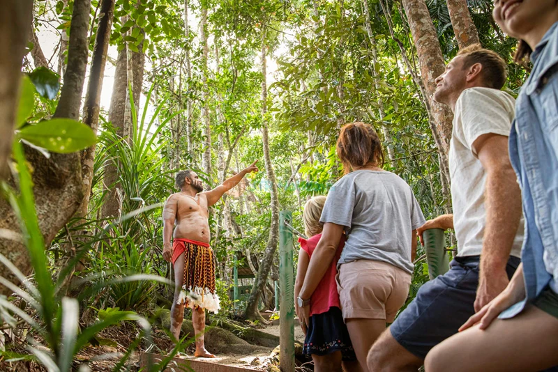 Rainforestation Nature Park | Kuranda Rainforest & Wildlife - JTR Holidays - Image 6 of 8