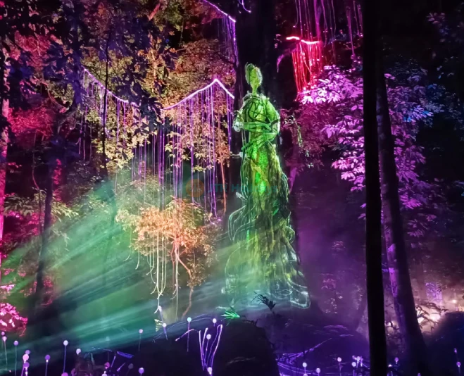 Dream Forest Langkawi - Magical Night Walk Through Lights, Stories & Nature - JTR Holidays - Image 2 of 5