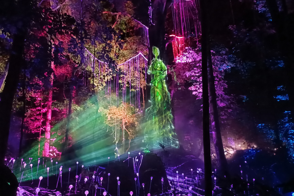 Dream Forest Langkawi - Entdecken Sie die Magie des Dream Forest Langkawi, ein atemberaubendes nächtliches Abenteuer voller Lichter, Musik und mythischer Geschichten. Wandern Sie auf einem 1,2 km langen Pfad, umgeben von leuchtender Kunst, Projektionen und interaktivem Geschichtenerzählen. Entdecken Sie 14 Themenbereiche, die die Schönheit der Natur zeigen, ohne den Wald zu schädigen. Erleben Sie das Wunder des Dream Forest Langkawi und schaffen Sie unvergessliche Erinnerungen mit Familie und Freunden. Verpassen Sie nicht die Chance, in die zauberhafte Welt des Dream Forest Langkawi einzutauchen. Dream Forest Langkawi - Bild 2 von 5
