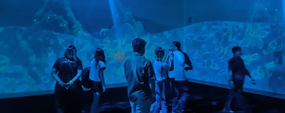 Dream Forest Langkawi - Magical Night Walk Through Lights, Stories & Nature - JTR Holidays - Image 4 of 5