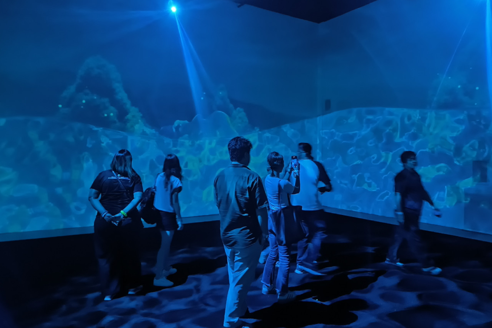Dream Forest Langkawi - Entdecken Sie die Magie des Dream Forest Langkawi, ein atemberaubendes nächtliches Abenteuer voller Lichter, Musik und mythischer Geschichten. Wandern Sie auf einem 1,2 km langen Pfad, umgeben von leuchtender Kunst, Projektionen und interaktivem Geschichtenerzählen. Entdecken Sie 14 Themenbereiche, die die Schönheit der Natur zeigen, ohne den Wald zu schädigen. Erleben Sie das Wunder des Dream Forest Langkawi und schaffen Sie unvergessliche Erinnerungen mit Familie und Freunden. Verpassen Sie nicht die Chance, in die zauberhafte Welt des Dream Forest Langkawi einzutauchen. Dream Forest Langkawi - Bild 4 von 5