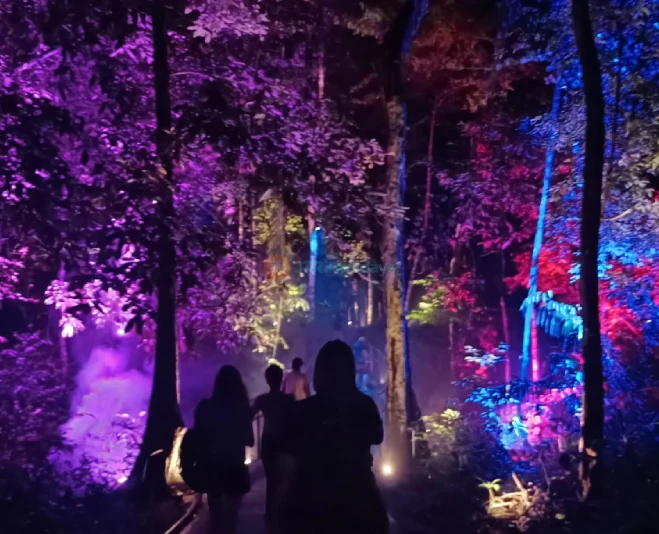 Dream Forest Langkawi - Magical Night Walk Through Lights, Stories & Nature - JTR Holidays - Image 5 of 5