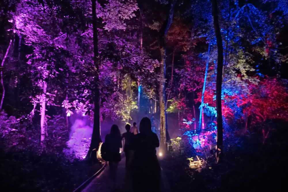 Dream Forest Langkawi - Entdecken Sie die Magie des Dream Forest Langkawi, ein atemberaubendes nächtliches Abenteuer voller Lichter, Musik und mythischer Geschichten. Wandern Sie auf einem 1,2 km langen Pfad, umgeben von leuchtender Kunst, Projektionen und interaktivem Geschichtenerzählen. Entdecken Sie 14 Themenbereiche, die die Schönheit der Natur zeigen, ohne den Wald zu schädigen. Erleben Sie das Wunder des Dream Forest Langkawi und schaffen Sie unvergessliche Erinnerungen mit Familie und Freunden. Verpassen Sie nicht die Chance, in die zauberhafte Welt des Dream Forest Langkawi einzutauchen. Dream Forest Langkawi - Bild 5 von 5