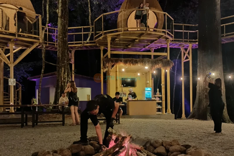 Dream Forest Langkawi - Magical Night Walk Through Lights, Stories & Nature - JTR Holidays - Image 6 of 9