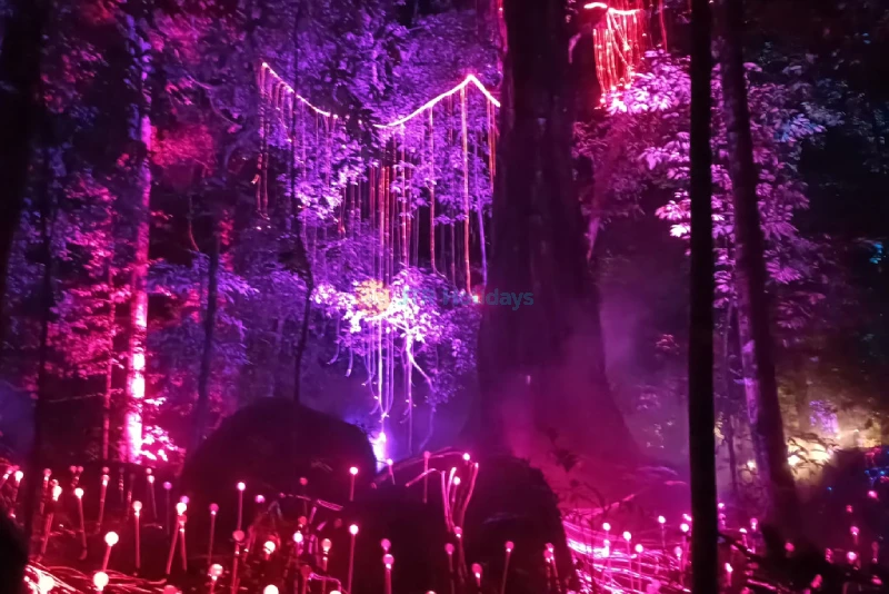 Dream Forest Langkawi - Magical Night Walk Through Lights, Stories & Nature - JTR Holidays - Image 9 of 9