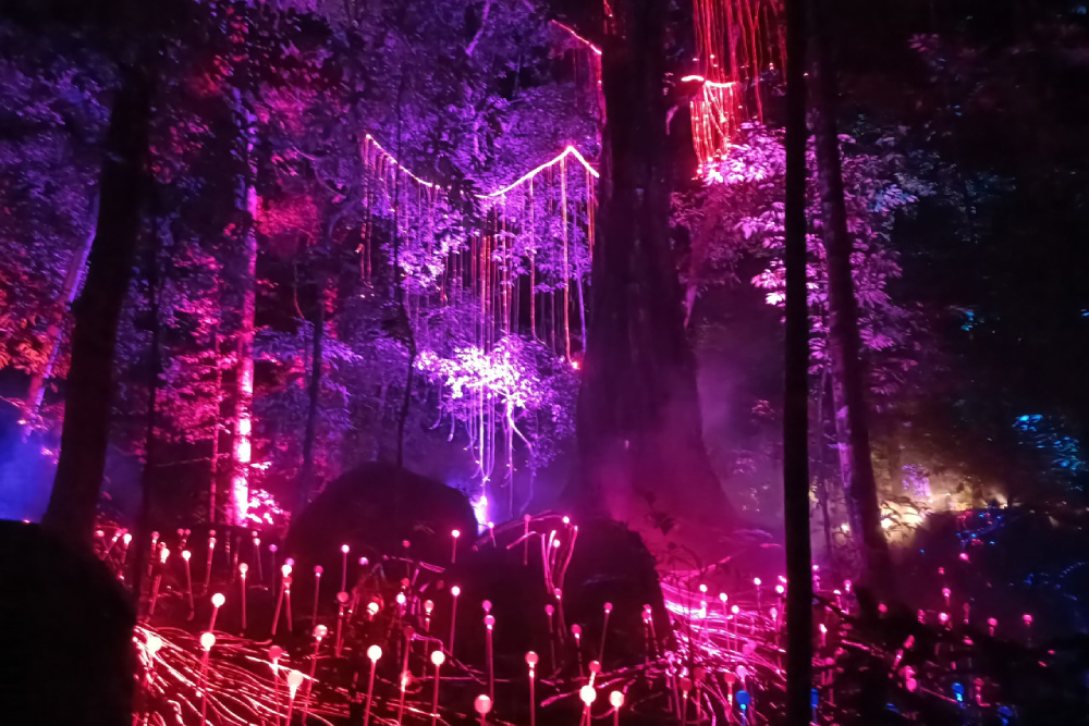 Dream Forest Langkawi - Image 9 of 9