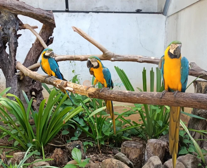 Langkawi Wildlife Park - Image 2 of 5