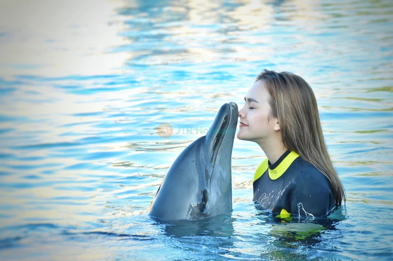 Dolphin Bay Atlantis