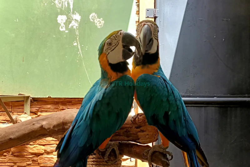 Parque de Vida Silvestre de Langkawi - Image 7 of 9