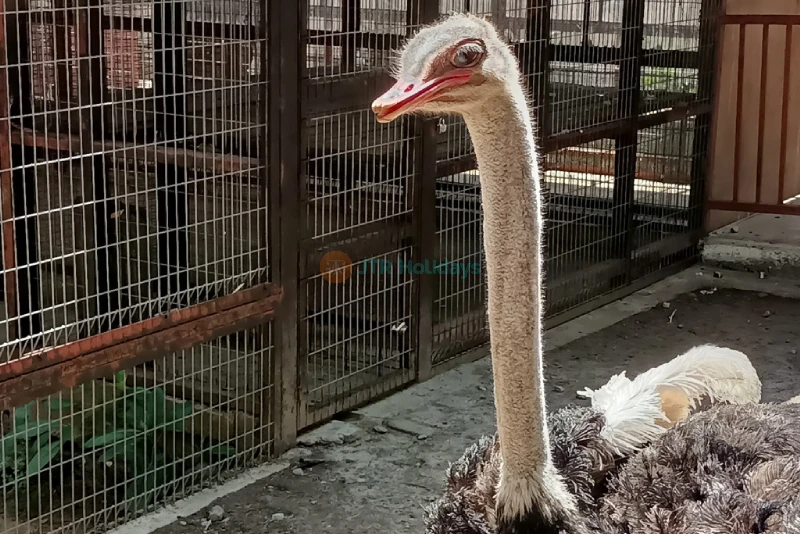 Langkawi Wildlife Park - Image 9 of 9