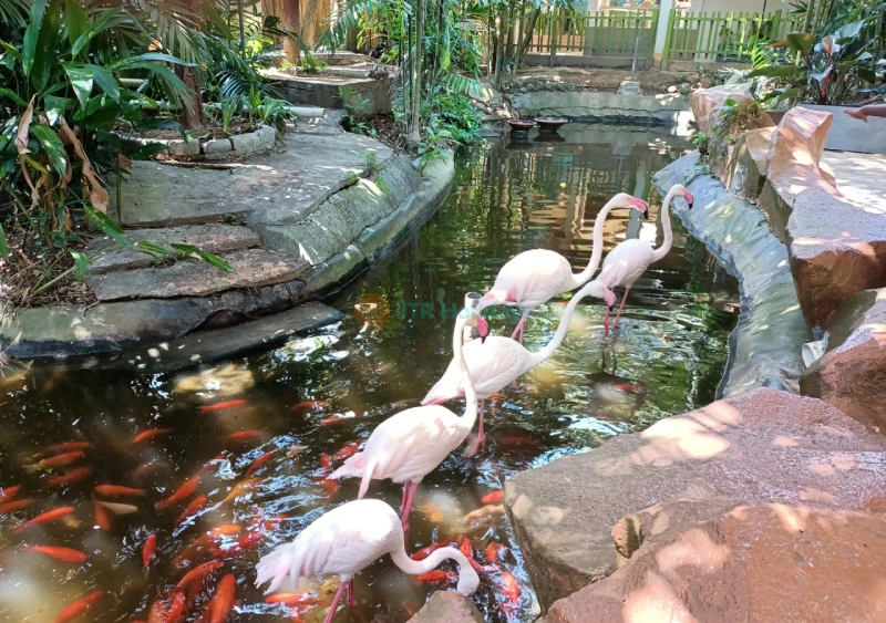 Langkawi Wildlife Park