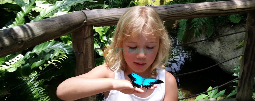 Entrada al Santuario Australiano de Mariposas en Cairns - Imagen 4 de 5