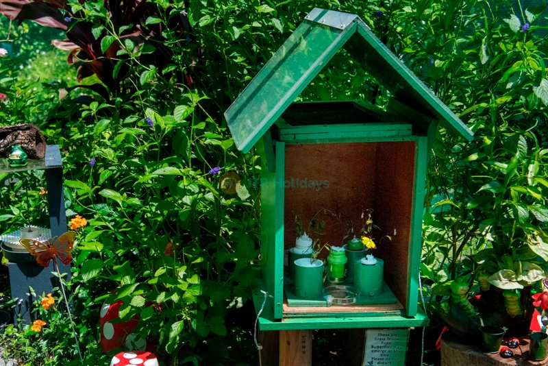 Entrada al Santuario Australiano de Mariposas en Cairns - Image 7 of 8
