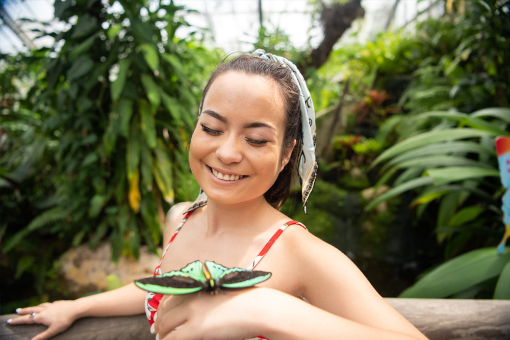 Australian Butterfly Sanctuary Cairns Ticket - Image 8 of 8