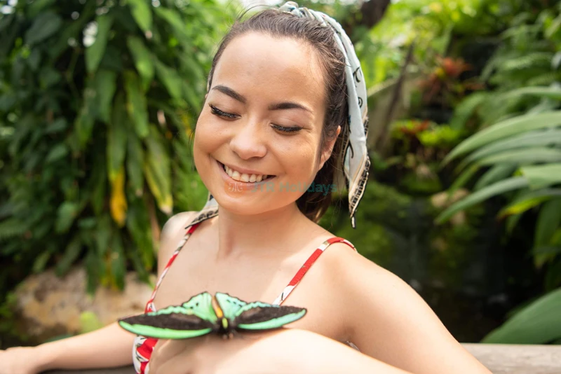 Australian Butterfly Sanctuary | Explore Queensland's Largest Butterfly Farm - JTR Holidays