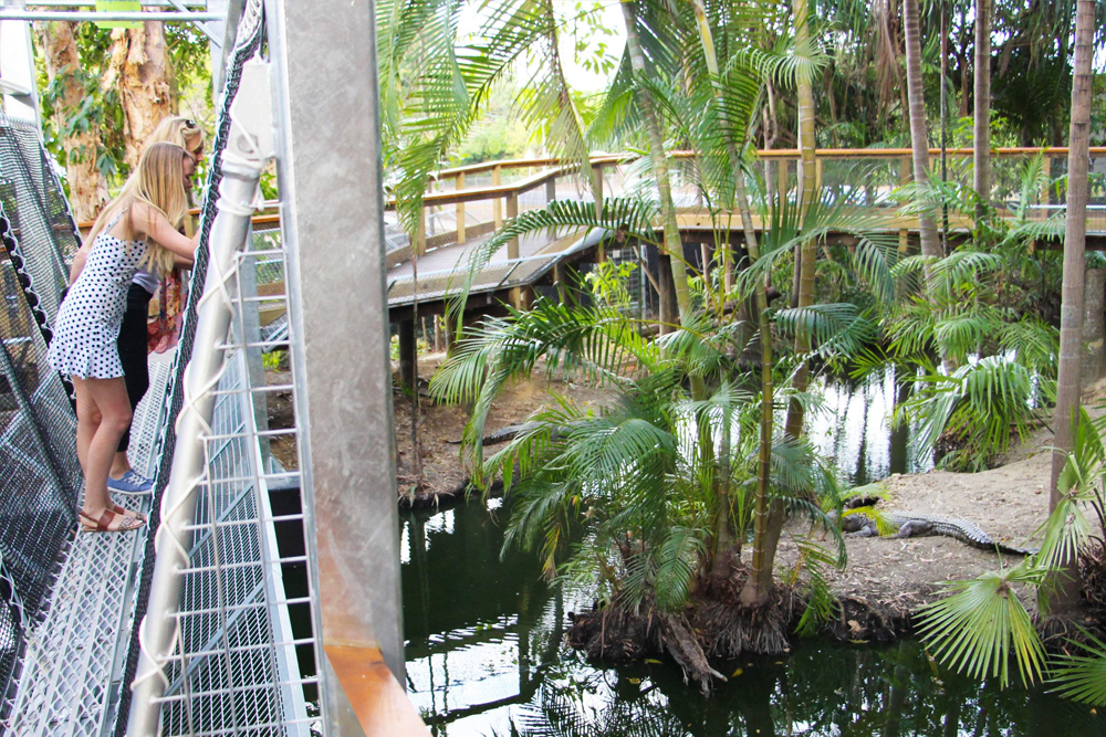 Wildlife Habitat Port Douglas Ticket in Cairns - Discover the Wildlife Habitat in Port Douglas, where you can get up close to iconic Australian animals like kangaroos, koalas, and crocodiles. Explore diverse ecosystems, including rainforests and wetlands, and learn about conservation efforts to protect native wildlife. Located near the Great Barrier Reef, it’s the perfect destination for nature lovers and eco-tourists. Wildlife Habitat Port Douglas Ticket in Cairns - Image 3 of 5