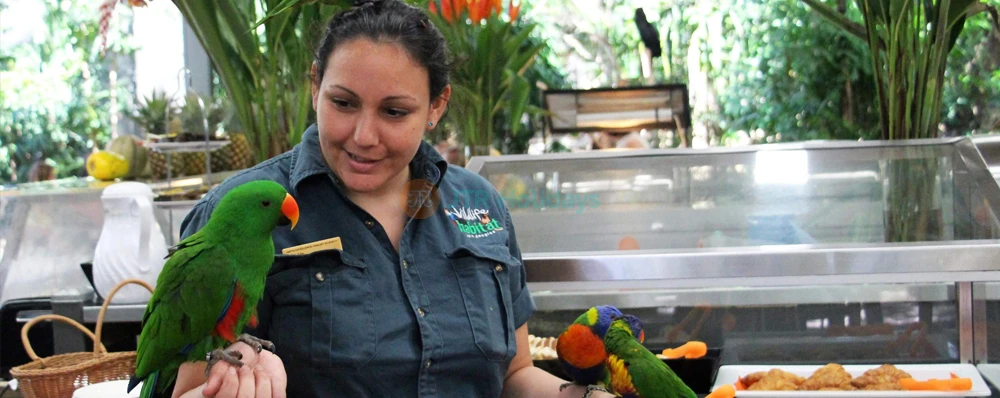 Entrada para Wildlife Habitat Port Douglas en Cairns - Image 4 of 9