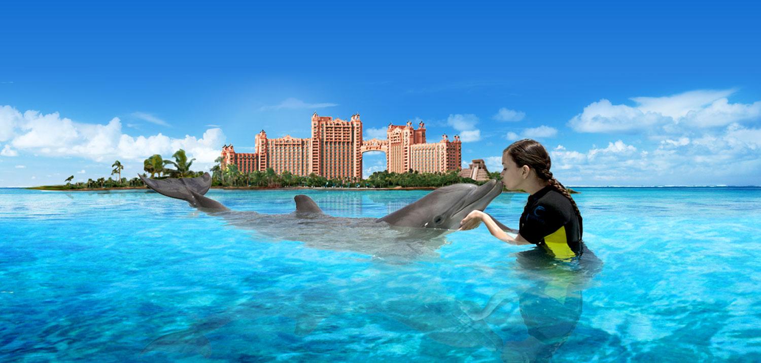 Dolphin Bay Atlantis - Image 3 of 5