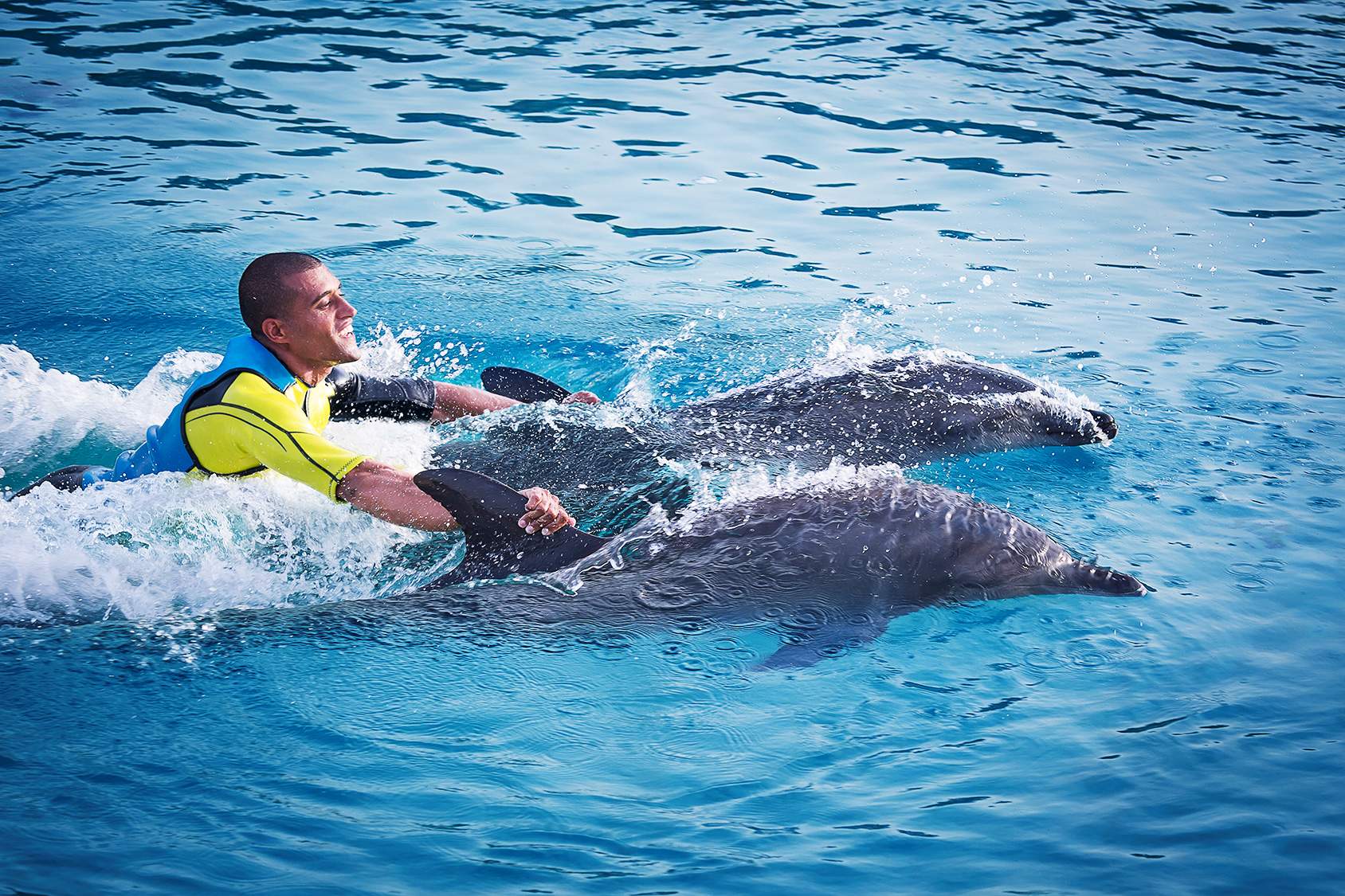 Dolphin Bay Atlantis - Image 4 of 5