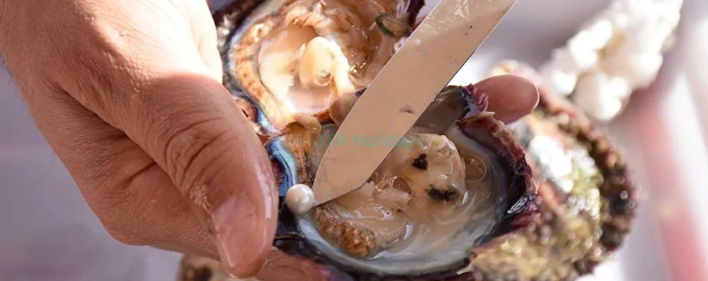 Granja de Perlas Suwaidi Ras al-Jaima - Image 3 of 8