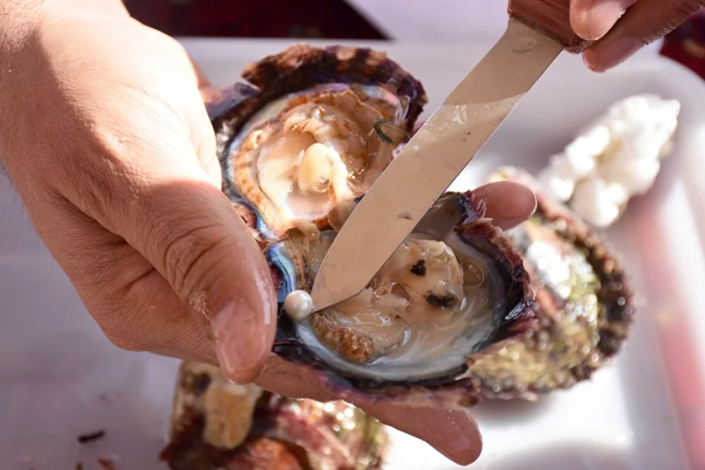 Suwaidi Pearls Farm Ras al-Khaimah - Image 3 of 5