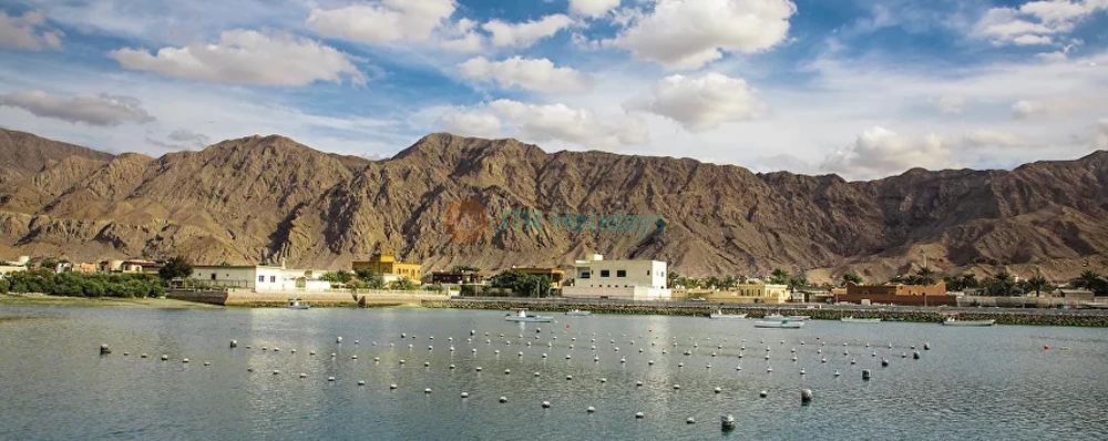 Granja de Perlas Suwaidi Ras al-Jaima - Imagen 4 de 5