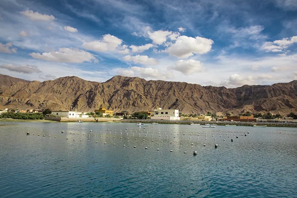 Suwaidi Pearls Farm Ras al-Khaimah - Image 4 of 5