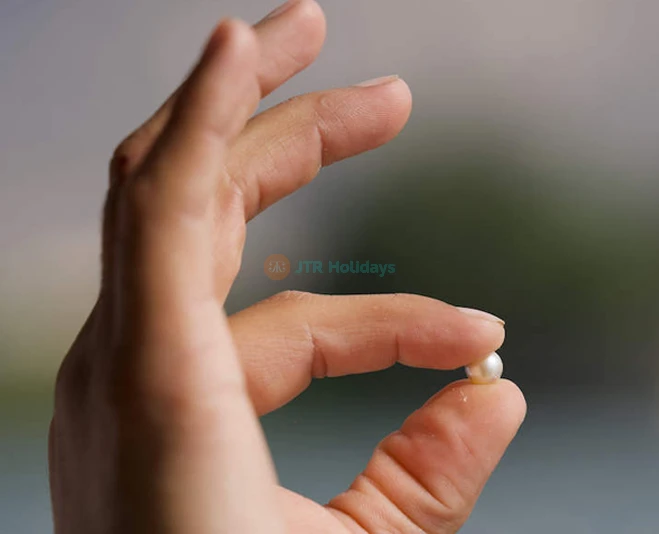 Suwaidi Pearls Farm Experience | Discover Arabian Pearls, History & Culture - JTR Holidays - Image 5 of 5