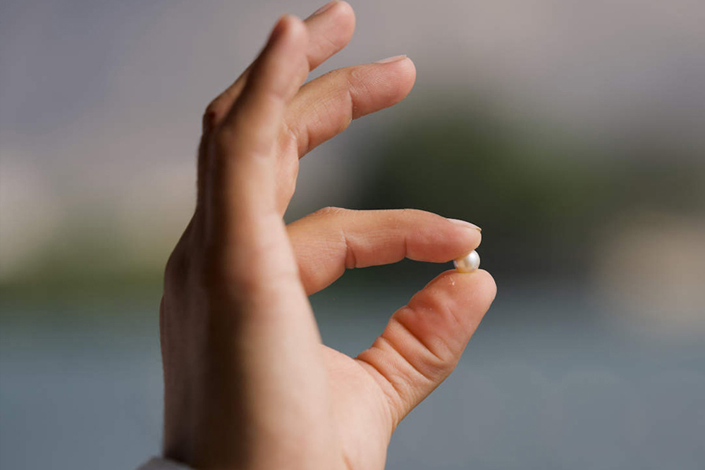 Suwaidi Pearls Farm Ras al-Khaimah - Image 5 of 5