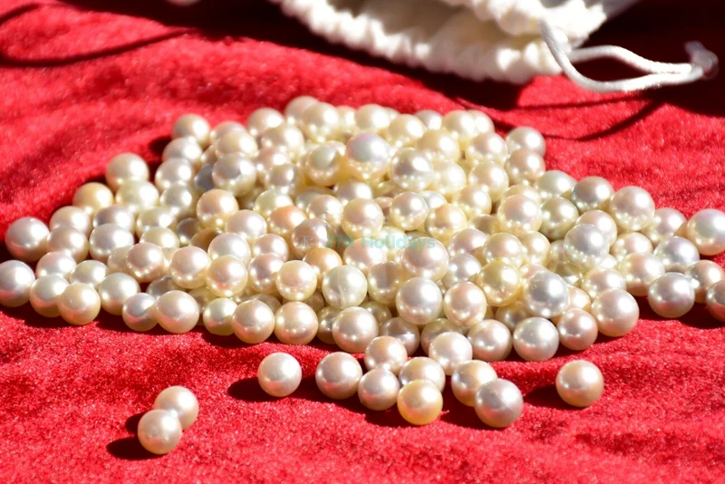 Suwaidi Pearls Farm Experience | Discover Arabian Pearls, History & Culture - JTR Holidays - Image 6 of 8