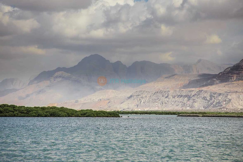 Suwaidi Pearls Farm Experience | Discover Arabian Pearls, History & Culture - JTR Holidays