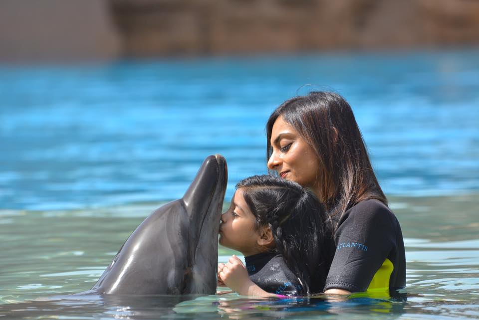 Dolphin Bay Atlantis - Image 5 of 5