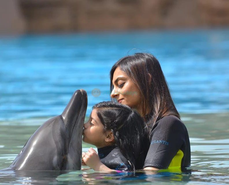 Dolphin Bay Atlantis - Image 5 of 5