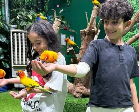 Creek Park Bird Show Dubai - Fun & Educational Wildlife Show - JTR Holidays