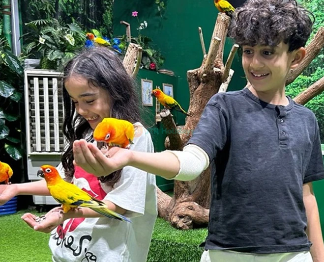 Creek Park Bird Show Dubai - Fun & Educational Wildlife Show - JTR Holidays - Image 5 of 5