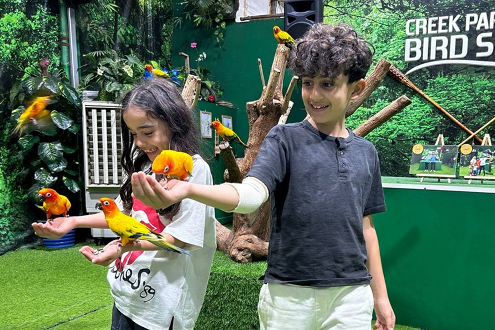 Creek Park Bird Show Dubai - Experience the exciting Creek Park Bird Show in Dubai, where you can watch stunning birds like parrots, falcons, and owls perform amazing tricks. Enjoy an interactive and educational experience for the whole family, with expert handlers sharing fascinating insights about wildlife and conservation. Set in the beautiful Creek Park, it's the perfect outing for nature lovers and families. Creek Park Bird Show Dubai - Image 5 of 5