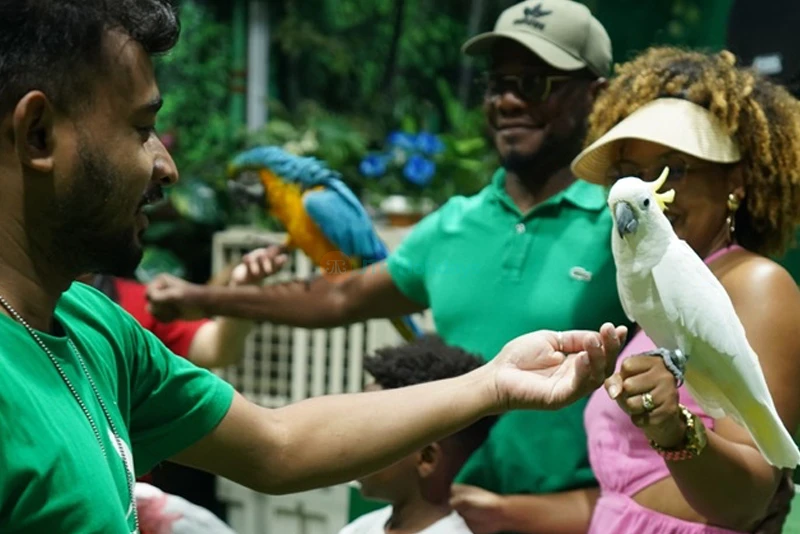 Creek Park Bird Show Dubai - Fun & Educational Wildlife Show - JTR Holidays