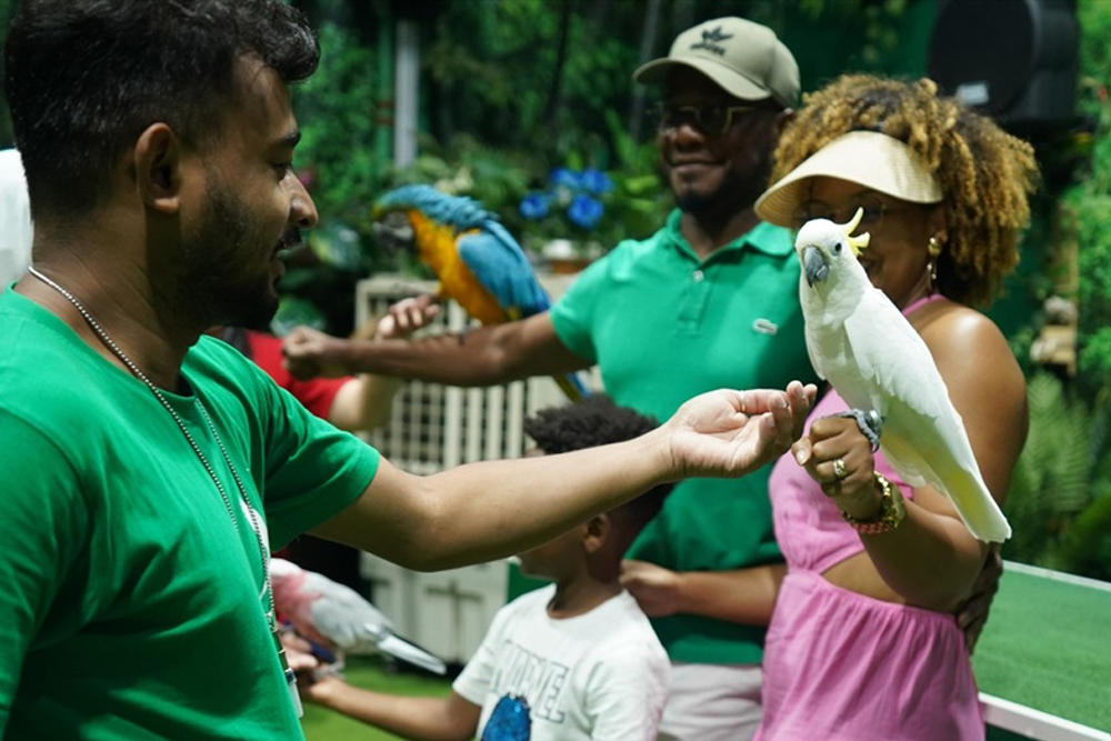 Creek Park Bird Show Dubai - Image 6 of 7