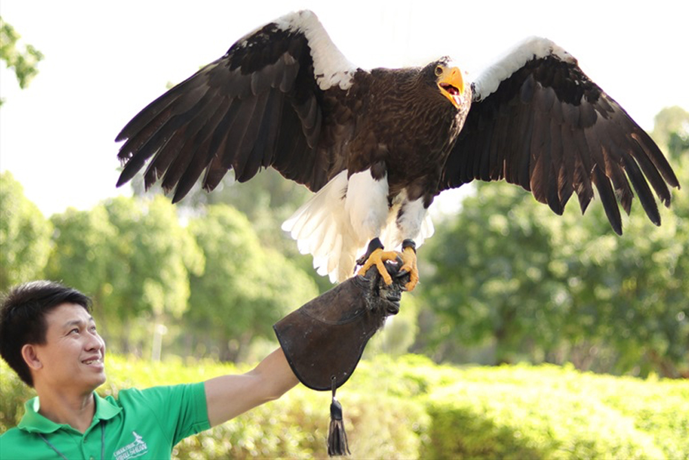 Creek Park Bird Show Dubai - Image 7 of 7
