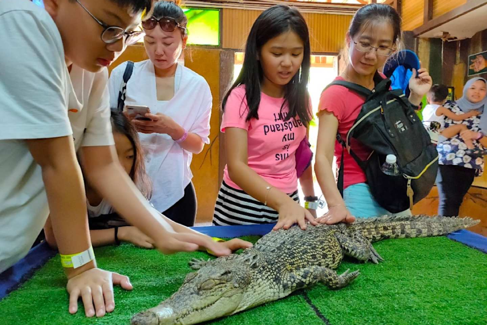 Melaka Crocodile Park - Image 3 of 5