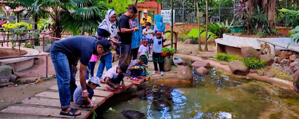 Melaka Crocodile Park - Image 4 of 5