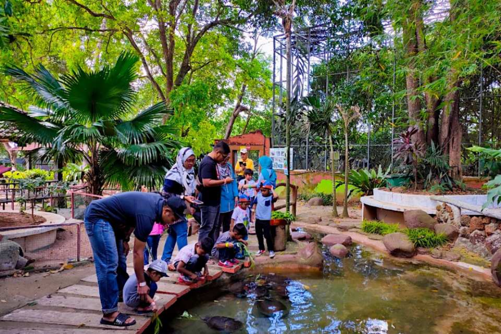 Melaka Crocodile Park - Image 4 of 7