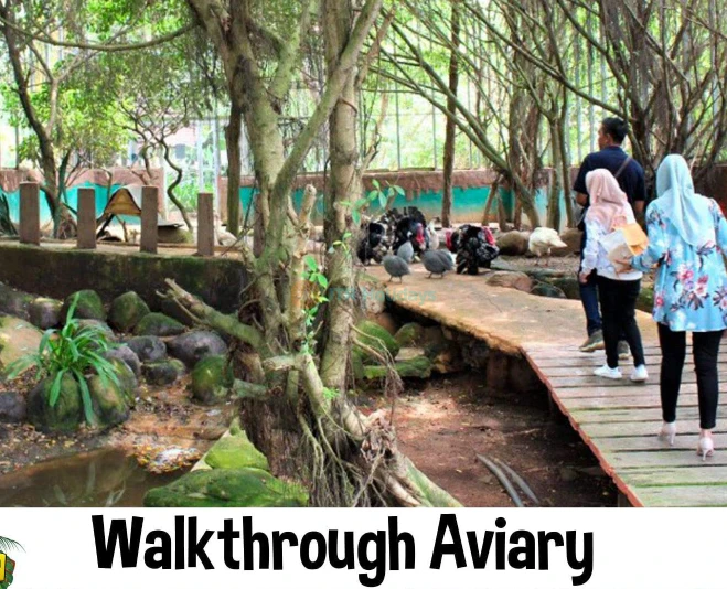 Melaka Crocodile Park - Image 5 of 5