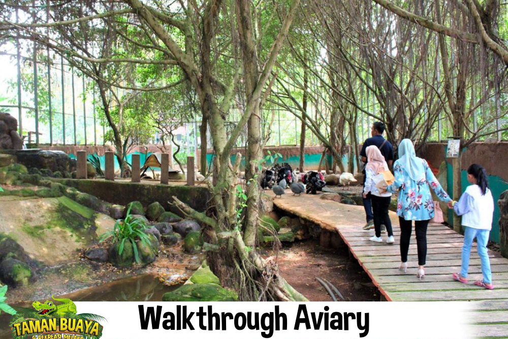 Melaka Crocodile Park - Image 5 of 7