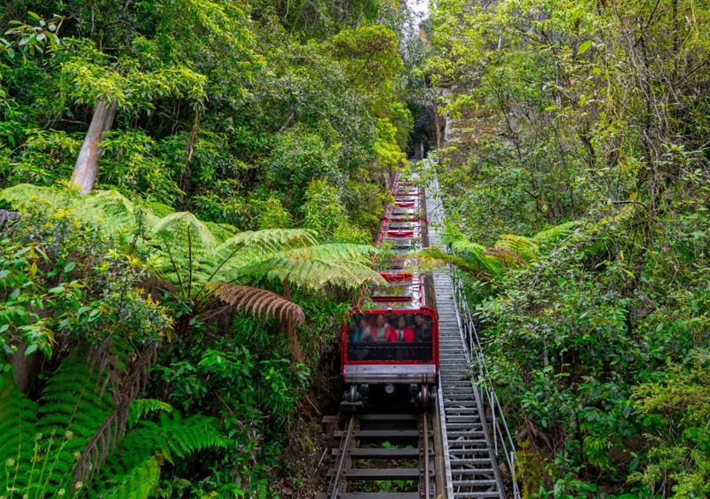 Scenic World Blue Mountains Unlimited Day Pass