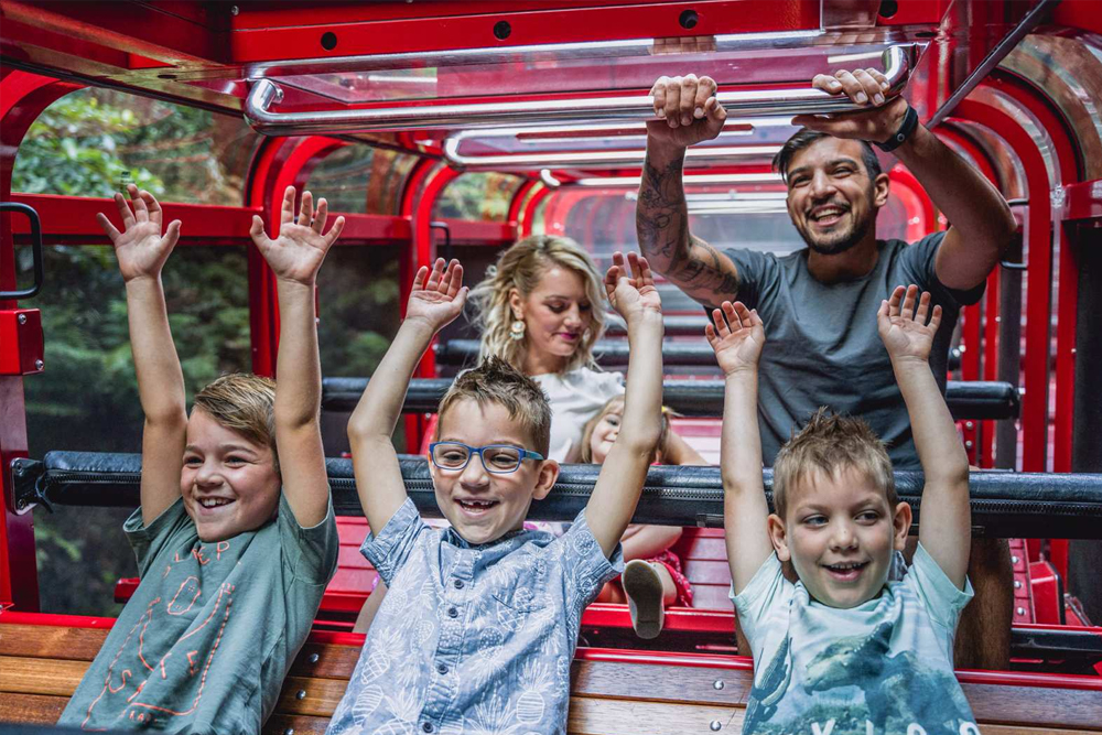 تذكرة عالم سينيك - الجبال الزرقاء - صورة 2 من 5