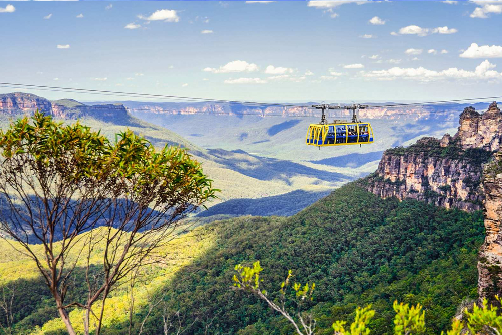 تذكرة عالم سينيك - الجبال الزرقاء - صورة 5 من 5